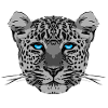 leopard3 2
