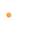 Basketball Coach Basketball fan
