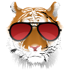Cool tiger with sunglasses
