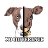 Funny vegan T-shirt