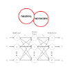 Neural Networks
