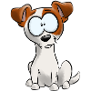 I'm Jack Russel Terrier