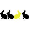 Bunny Rabbit be different! Unique contrast 2c