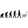 evolution mouton