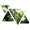 Wald | Natur | Dreieck | Geschenkidee