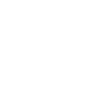 Sport automobile