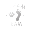 Pet Dream Team