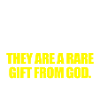 Sport automobile