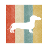 Blaireau Teckel Teckel cadeau chien