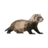 Ferret polygon polecat