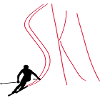 skis