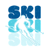 Skiers, Skiing