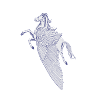 Pegasus