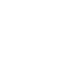 Internet Computer Network