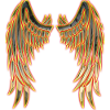 Angel gold wings