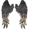 Angel raven wings