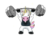 Gewichtheben Einhorn