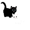 cats