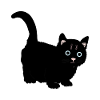 Katze schwarz