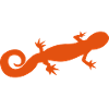 salamandre