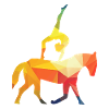 Vaulting Gymnastics Equestrian