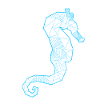 Seahorse ocean fish gift
