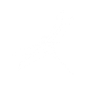 Dragonfly diagonal insect