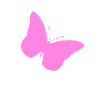Butterfly Papillon purple Butterfly