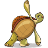 Yoga turtle