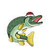 Pike Ruprecht