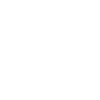 Evolution workshop mechanic