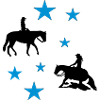 Pleasure & Reining Stars