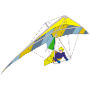 Kite flying, Hang Gliding