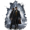 Fantastic Beasts Scamander and Dumbledore