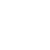 pilot
