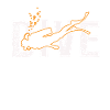 diving