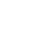lizard