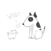 CAT & DOG