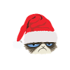 Grumpy Cat mit Weihnachtsmütze