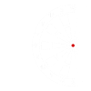 Darts dartboard