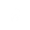papa