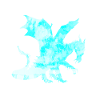 Drachen