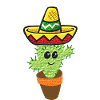 Kaktus