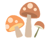 champignon