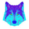 Wolf EDM