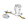 Bébé cigogne