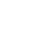 Retriver doré