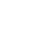 skier