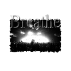 Concert Breathe