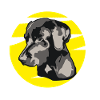 Labrador
